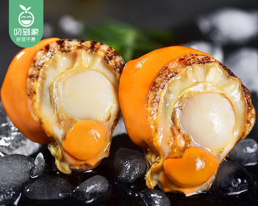 本港鲜剥扇贝肉/1份（约250g） 商品图1