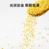 热卖！养胃 满满米油！“世界小米之乡”白小禾 内蒙古敖汉有机小米 色泽金黄 米香四溢 米油醇厚 1.3kg/袋 商品缩略图3