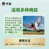 华畜兽药兽用酒石酸泰乐菌素胶囊小鸡鸭赛鸽子咳嗽气喘肺炎支原体 商品缩略图4