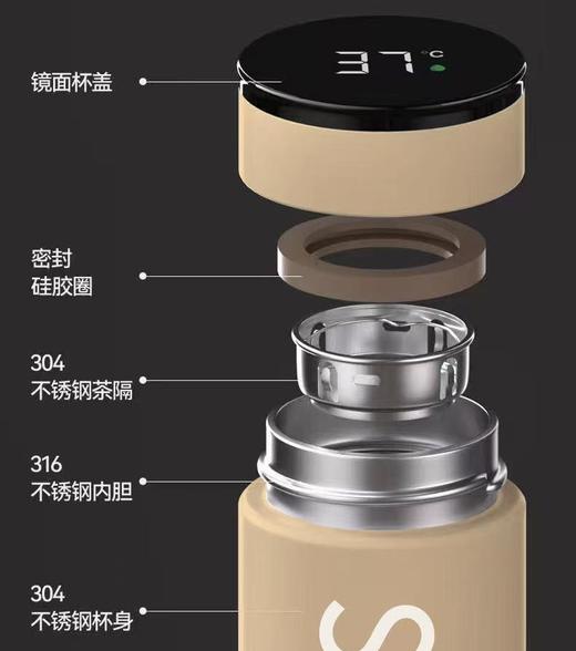 喜临450ML智温杯SPRING2509 商品图3