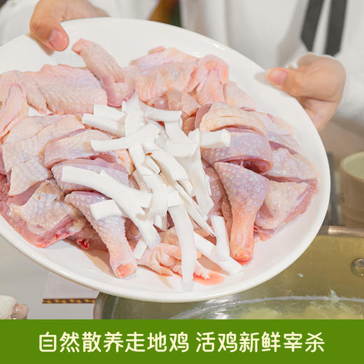 酷可椰椰子鸡4人份全套餐火锅食材新鲜正宗散养走地鸡【肉肉专场】 商品图2