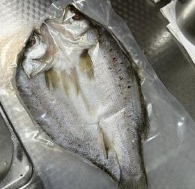 海鲈鱼（袋）一条