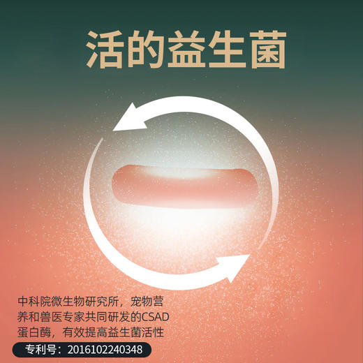 2⃣ 【福利囤货】【2 包 85 折】【4 包 8 折】科瑞卡小肉丸无谷猫粮 商品图5