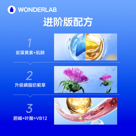 【宁波北仑保税仓直发】万益蓝WonderLab 净肝Plus胶囊奶蓟草4倍吸收净化 商品图5