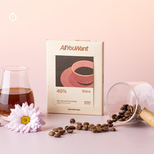 企鹅市集|中国精巧新秀AllYouWant 单一产区黑巧排块45g 大奖黑马 巧克力碎 商品图1