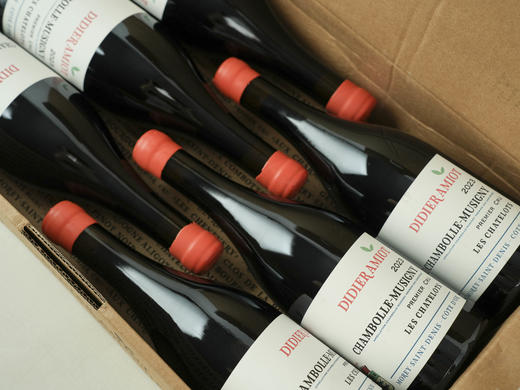 【内行挖宝】法国勃艮第2023年迪迪爱你酒庄香波慕西尼一级园夏特洛黑皮诺干红 商品图4