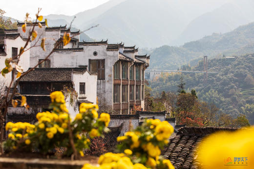 11月24日确定出发【赣皖行摄】江西婺源·宏村-塔川-篁岭-月亮湾-漳村-察关-菊径村-石城+安徽黄山-宁国落羽杉湿地公园-非遗油布伞-查济古村皖南秋色4天—5天—9天—11天 商品图9