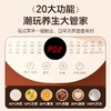 志高志高（CHIGO）养生壶多功能家用花茶壶1.8L大容量烧水壶_煮茶器智能预约煮茶壶_办公室电水壶_白色_1.8L 商品缩略图2