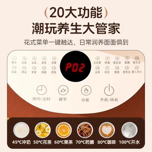 志高志高（CHIGO）养生壶多功能家用花茶壶1.8L大容量烧水壶_煮茶器智能预约煮茶壶_办公室电水壶_白色_1.8L 商品图2