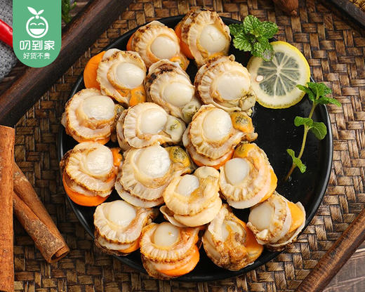 本港鲜剥扇贝肉/1份（约250g） 商品图3