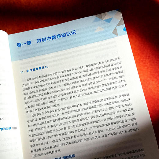 初中数学双线通16章 初中数学自学 贯通培养 王永春 商品图7