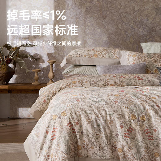 臻品100支磨毛四件套(威尼克斯) 商品图4