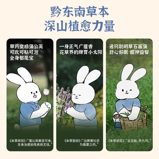 真不二天然草本儿童贴系列利眠/利感/肠胃贴~ 商品图1