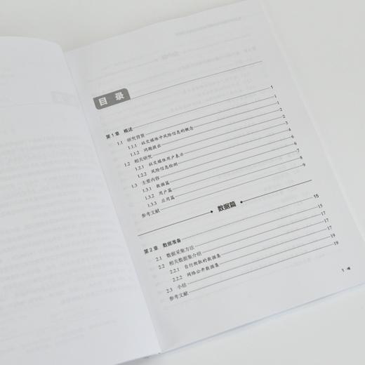 社交媒体风险信息检测关键方法及应用研究 计算机网络技术网络空间人工智能数据挖掘 商品图1