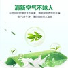 绿伞30年国货超强清新油烟净 厨房重油污净油烟机清洗剂 商品缩略图5