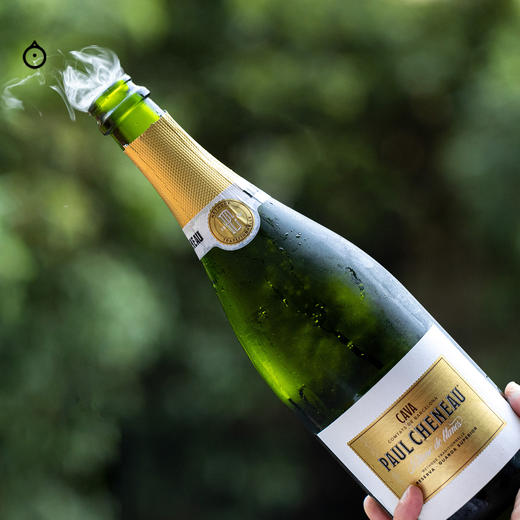 企鹅市集|西班牙吉乐礼炮酒庄Cava珍藏级干型起泡葡萄酒2019 香槟法发酵 大奖收割机！ 商品图1