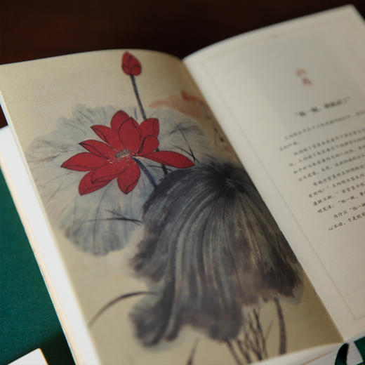 《追光的人，终将光芒万丈》2026王阳明修心日历 商品图7