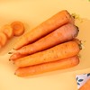 心无杂念的胡萝卜，扎根高原，才能甜得毫无杂质 内蒙高原胡萝卜 5斤/箱 商品缩略图0