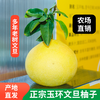 【玉环 文旦柚】果肉细嫩，颗粒紧致细密。果肉晶莹剔透，果汁饱满，几近无核，可食率非常高。 商品缩略图6