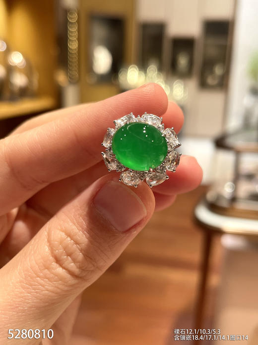 高冰种艳绿蛋面戒指【5280810】具体价格微信咨询 商品图1