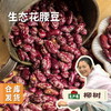 大兴安岭生态花腰豆 350g/袋 | 合作农友生产，产自黑龙江大兴安岭，生产者：柳树 &【公平贸易农人定价】 商品缩略图0