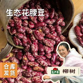 大兴安岭生态花腰豆 350g/袋 | 合作农友生产，产自黑龙江大兴安岭，生产者：柳树 &【公平贸易农人定价】