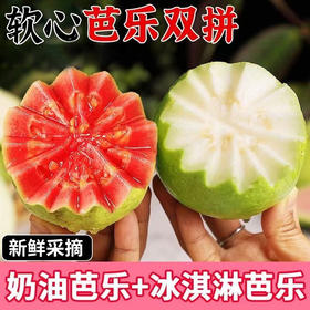 【分仓直发包邮】福建漳州红心白心双拼芭乐2.2-2.5斤礼盒装（3个红心+3个白心）