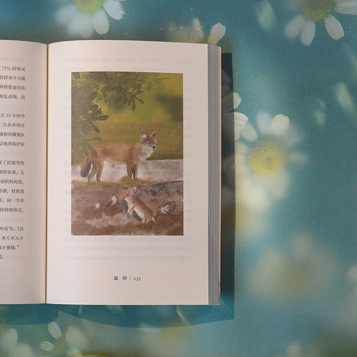 万物有信：七十二物候里的中国时序 商品图2