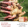 养宫芳姜膏 非遗53号秘方加持 自然窖藏365天祛姜燥更温和 受寒久坐产后中老人手脚冰凉姨妈期  百湿离姜膏20克*10/盒 商品缩略图2