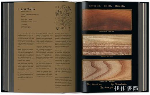Romeyn B. Hough. The Woodbook. The Complete Plates / 罗梅恩·B·霍夫. 木材图谱：完整版/ Taschen 出版 商品图2