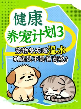 健康养宠计划丨宠物冬天到底需不需要喝温水
