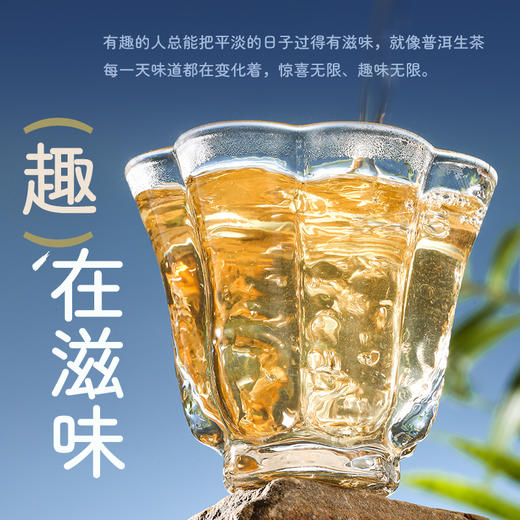 陈升号 2017年人生佳茗茶趣盒装90g（生茶） 商品图2
