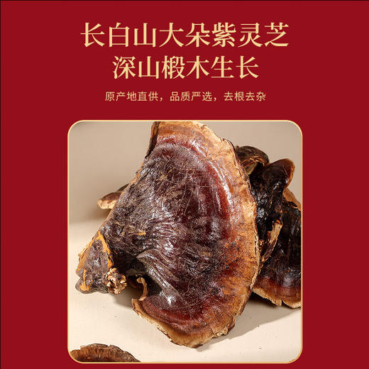 福东海西洋参片灵芝黄芪陈皮化橘红五拼礼盒325克 新会产大红皮礼品送礼 商品图8