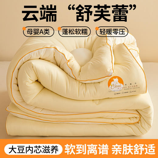 【下架】自然醒针织棉喵喵云朵大豆被被芯冬被四季被YBY 商品图0