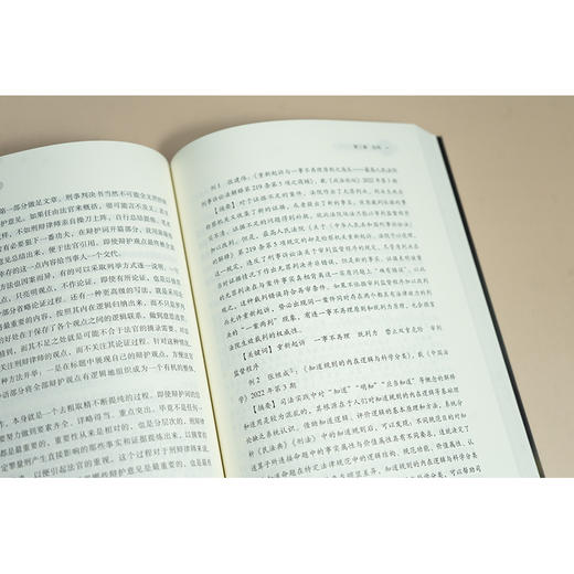 说服：辩护词写作实务 杨大民 陈枝辉主编 法律出版社 商品图4