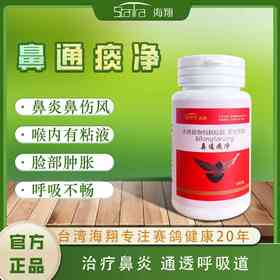 【鼻通痰净】60粒，呼吸畅通飞得好（海翔）