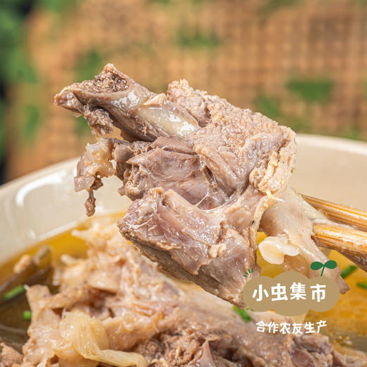 生态散养番鸭 | 合作农友生产，产自广州从化，生产者：郭锐 *【公平贸易农人定价】 商品图6