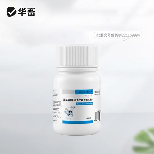 华畜兽药兽用酒石酸泰乐菌素胶囊小鸡鸭赛鸽子咳嗽气喘肺炎支原体 商品图9