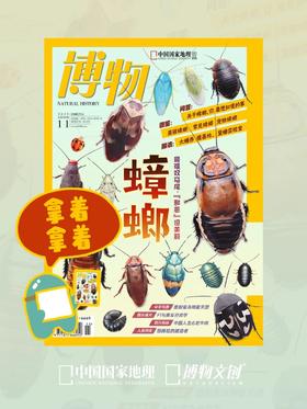 狼来了？螂来了!!!