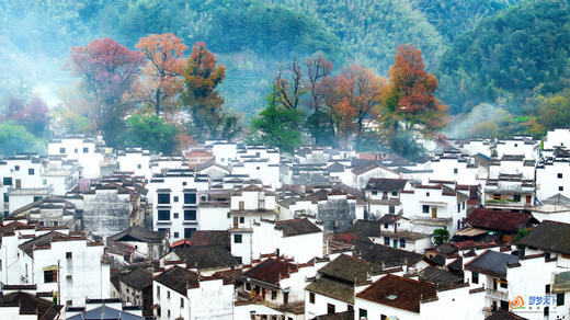11月24日确定出发【赣皖行摄】江西婺源·宏村-塔川-篁岭-月亮湾-漳村-察关-菊径村-石城+安徽黄山-宁国落羽杉湿地公园-非遗油布伞-查济古村皖南秋色4天—5天—9天—11天 商品图2