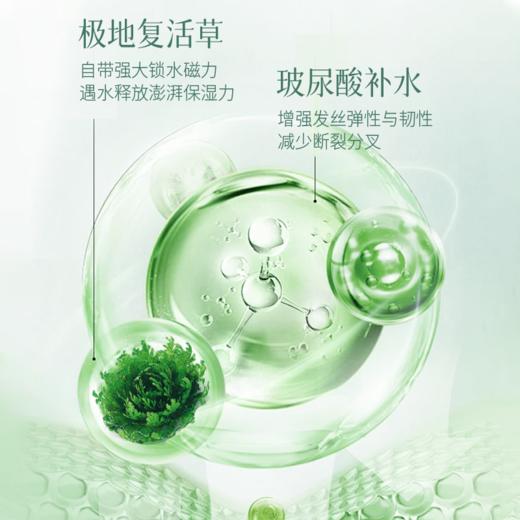 伯纳乌复活草洗护三件套｜胖东来王牌！秀发柔亮，全身香香滑滑的～【下单72小时发货】 商品图2