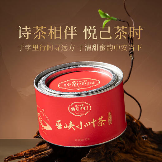 正山堂巴东红 巫峡小叶茶 骏眉中国湖北特级红茶罐装正宗蜜香茶叶 商品图4