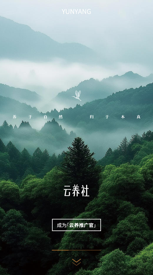 定时开售加购测试 商品图0