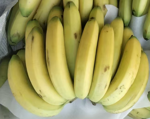 820 农场直供香蕉5斤