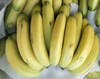 820 农场直供香蕉5斤 商品缩略图0