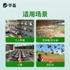 华畜兽药兽用酒石酸泰乐菌素胶囊小鸡鸭赛鸽子咳嗽气喘肺炎支原体 商品缩略图5