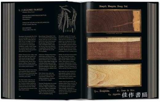 Romeyn B. Hough. The Woodbook. The Complete Plates / 罗梅恩·B·霍夫. 木材图谱：完整版/ Taschen 出版 商品图3