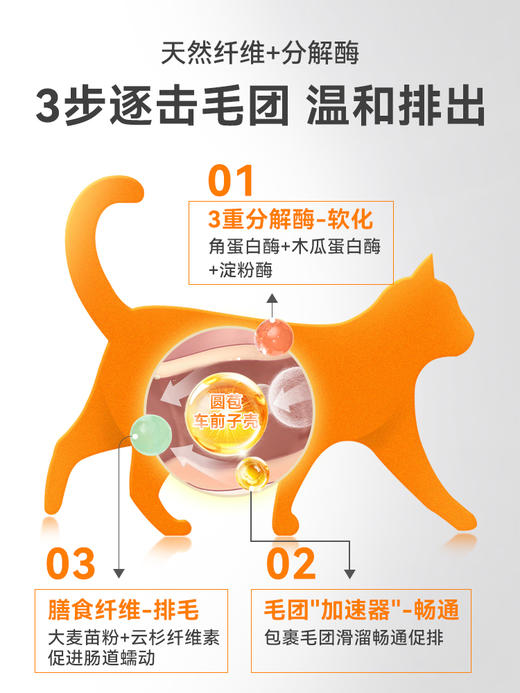 【65元任选2件】普安特后生元化毛球片双色双效猫用化毛片 商品图4