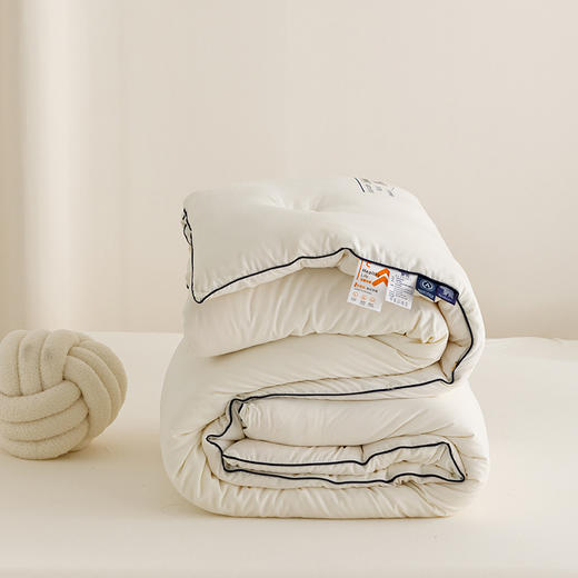 自然醒云绒棉软胖胖熊抱被大豆被冬被芯YBY 商品图11