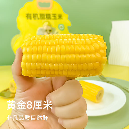 蒙鲜绅内蒙古甜糯玉米，真空锁鲜，当季采摘1.6kg/袋 商品图5